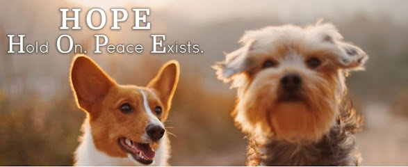 A Mind Above | Fresno