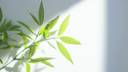 Balanced Mental Wellness - Psychiatry & Ketamine