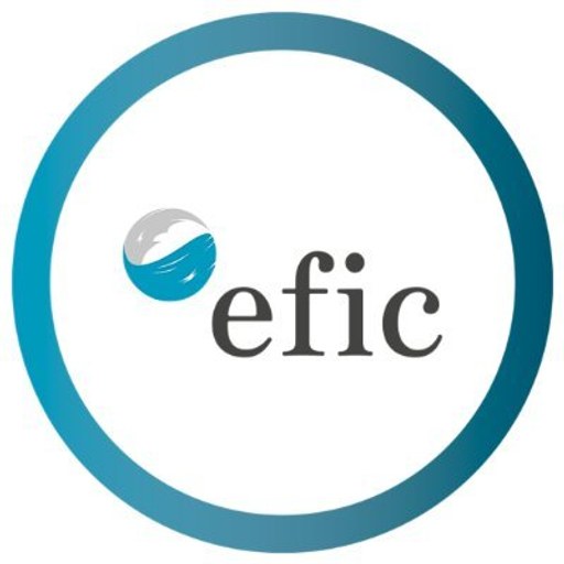 Curso Experto en Coaching Profesional Certificado