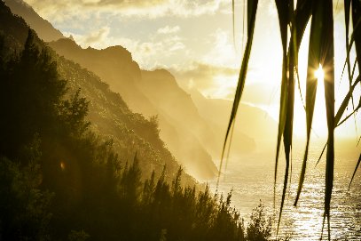 Wellness Partners Mental Health